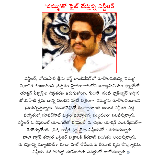 ntr latest movie dammu,ntr in action sequences for dammu,dammu director boyapati srinu,trisha and karthika pairing with ntr,dammu music director keeravani,dammu releasing in summer,ntr new movie dammu details  ntr latest movie dammu, ntr in action sequences for dammu, dammu director boyapati srinu, trisha and karthika pairing with ntr, dammu music director keeravani, dammu releasing in summer, ntr new movie dammu details